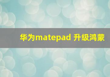 华为matepad 升级鸿蒙